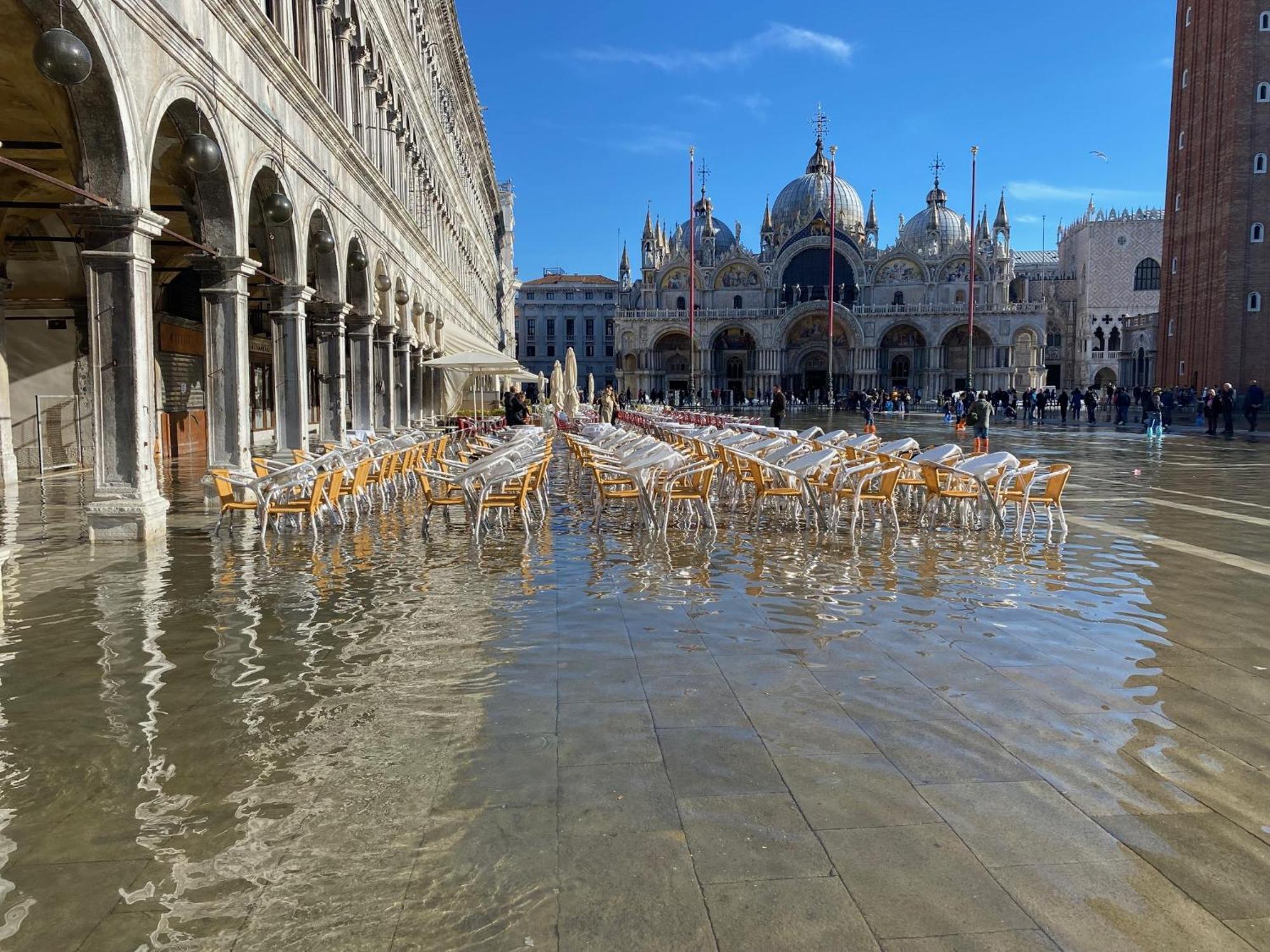 Peggy Venice